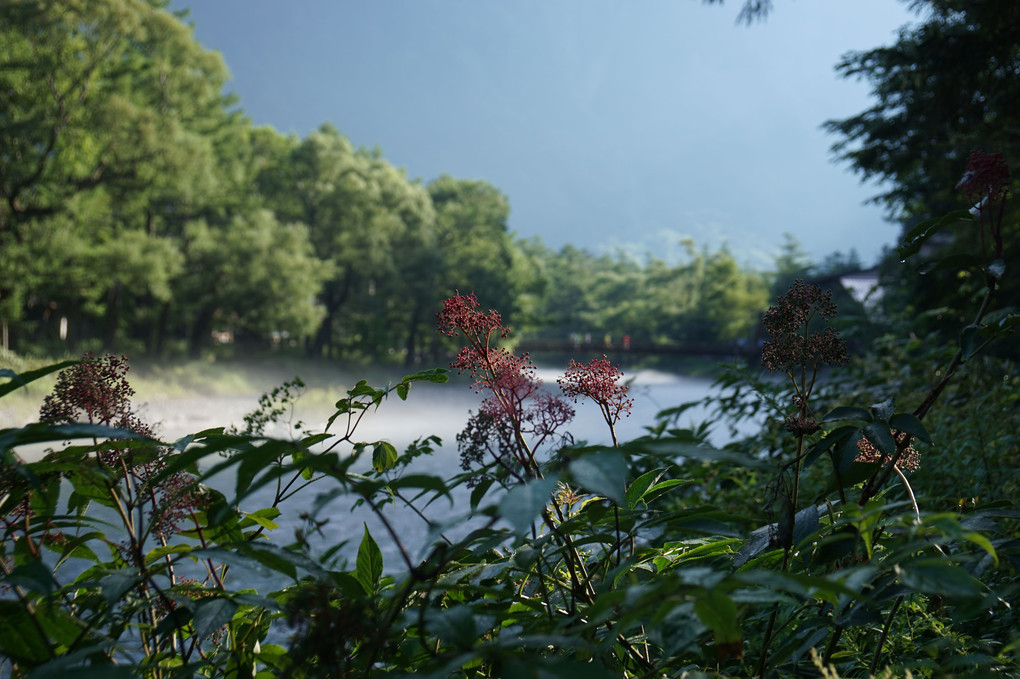 Kamikochi 風景編