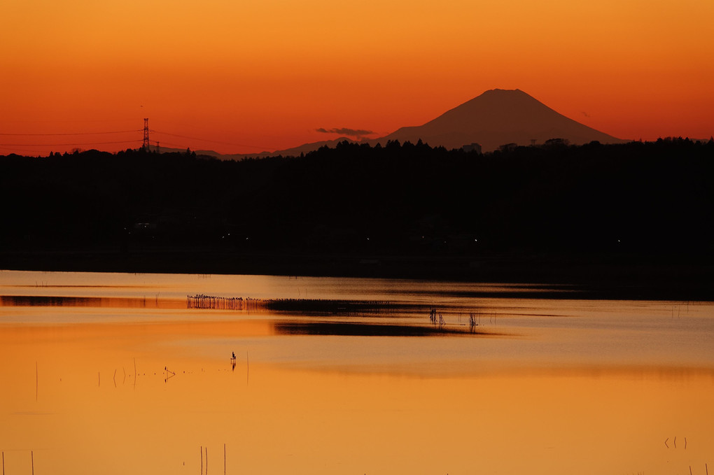 夕暮れの富士山、印旛沼越しに
