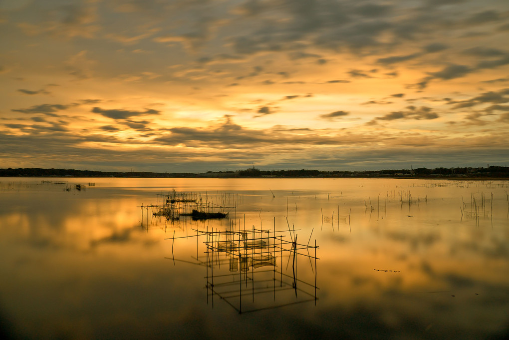 印旛沼、朝のreflection