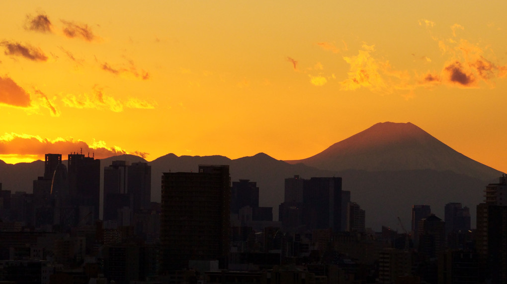 元旦の富士山