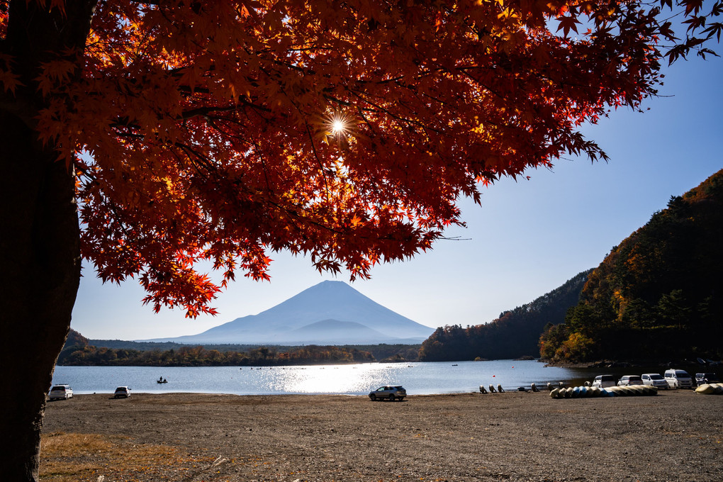 富士と秋色