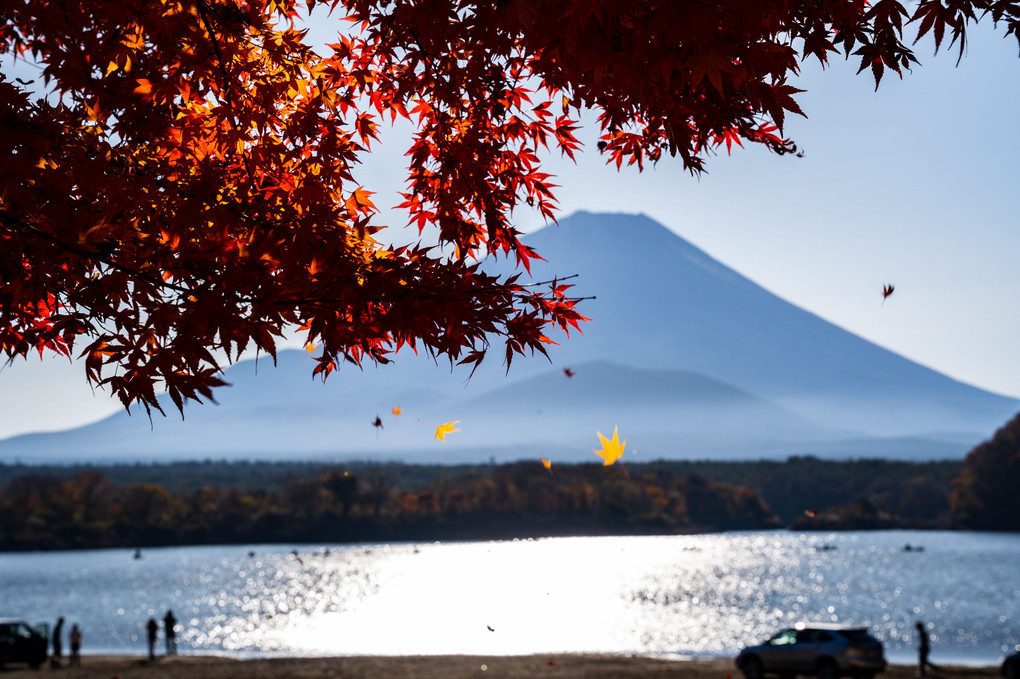 富士と秋色
