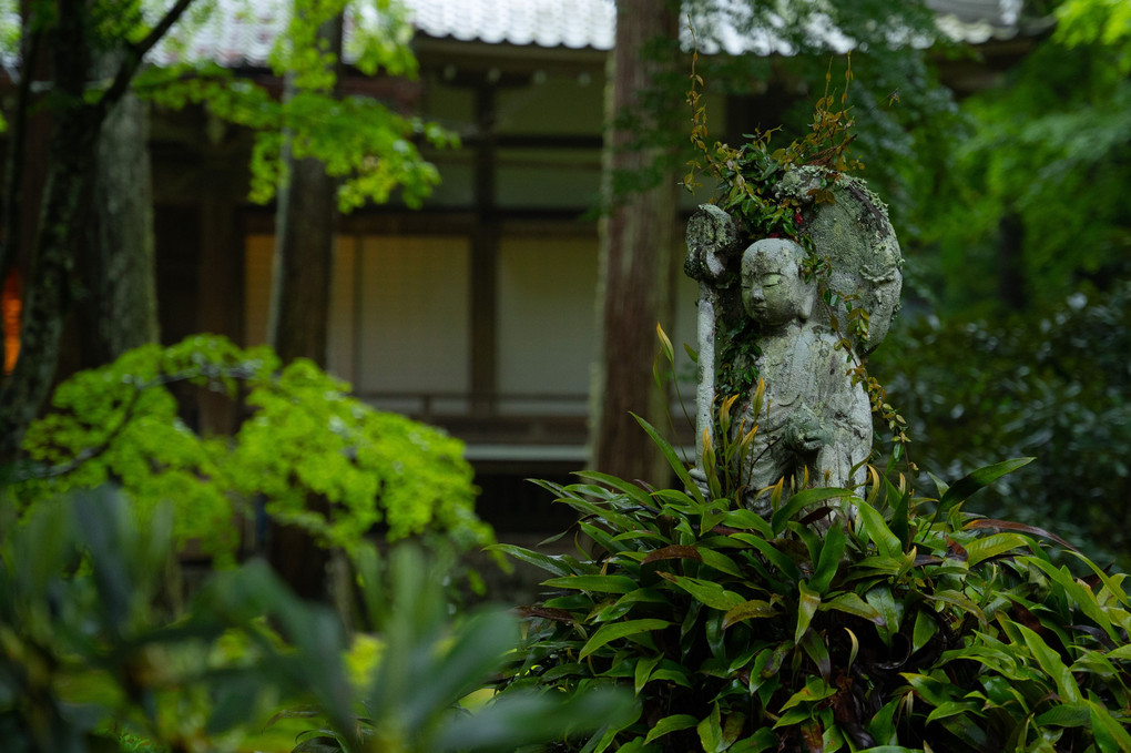 京都大原三千院