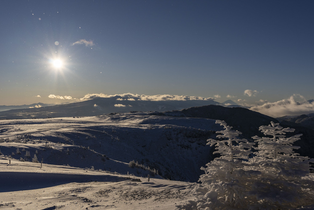 winter dawn