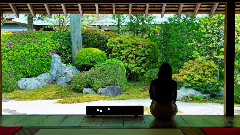 「侘び茶」新緑の鎌倉