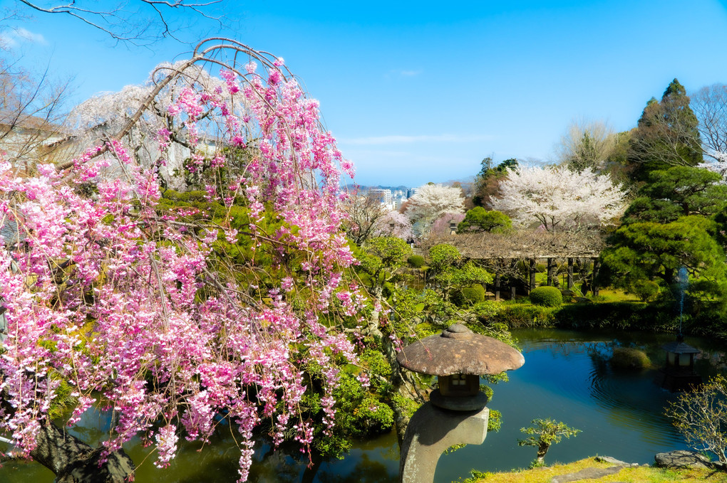 日本庭園