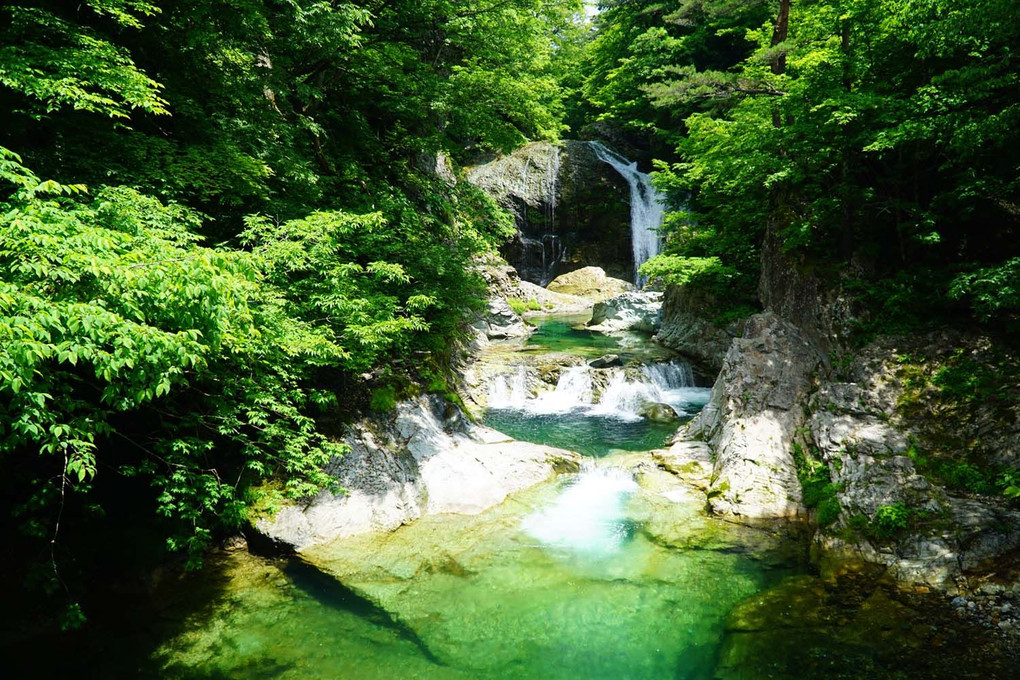 緑の中の滝