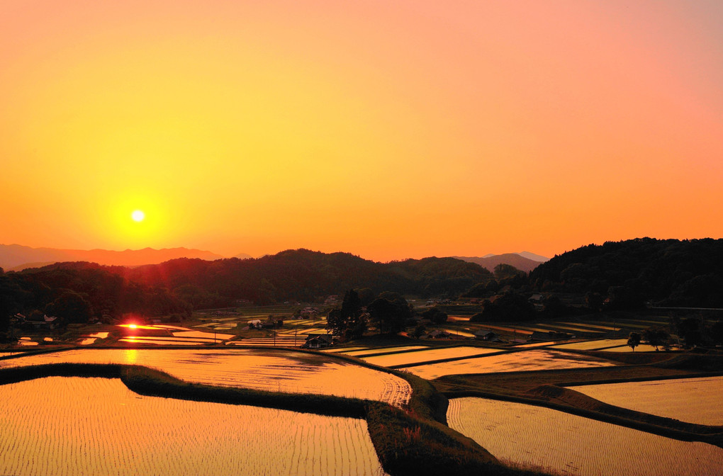 比和町棚田③夕景