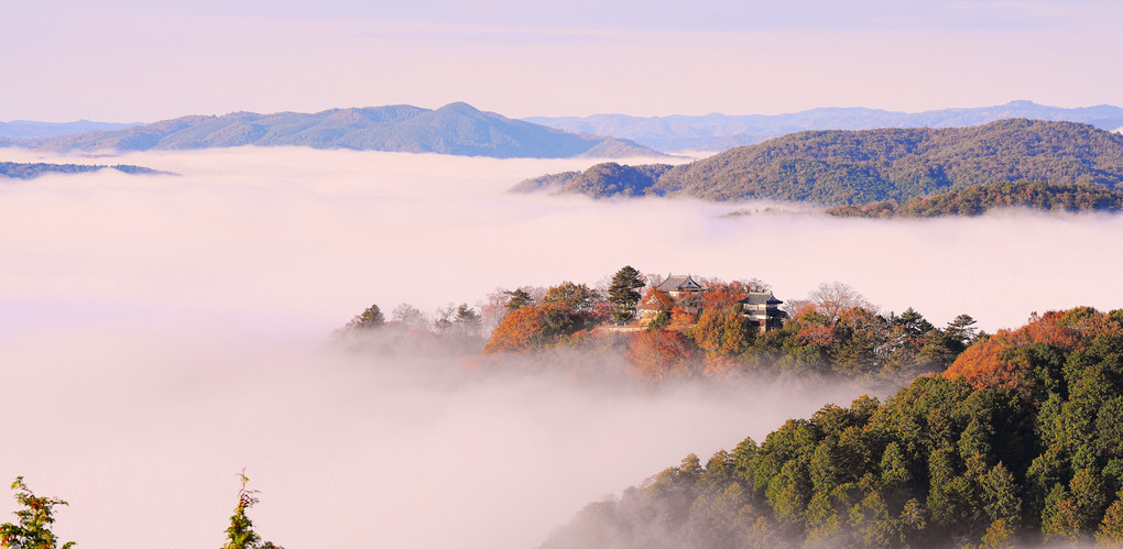 備中松山城の雲海