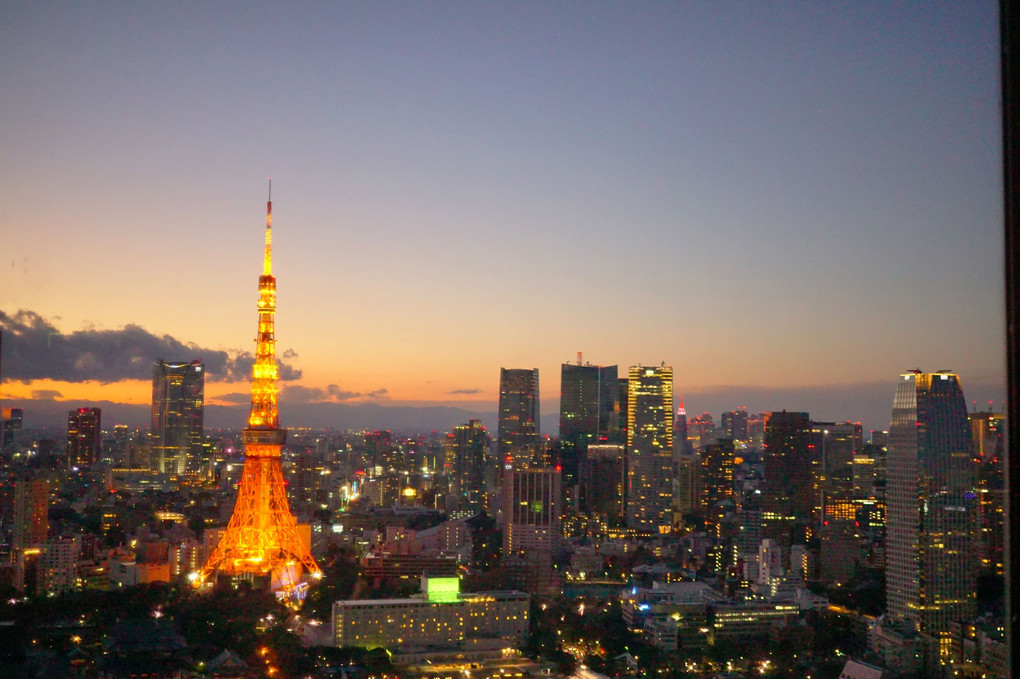 夕暮れ東京タワー！