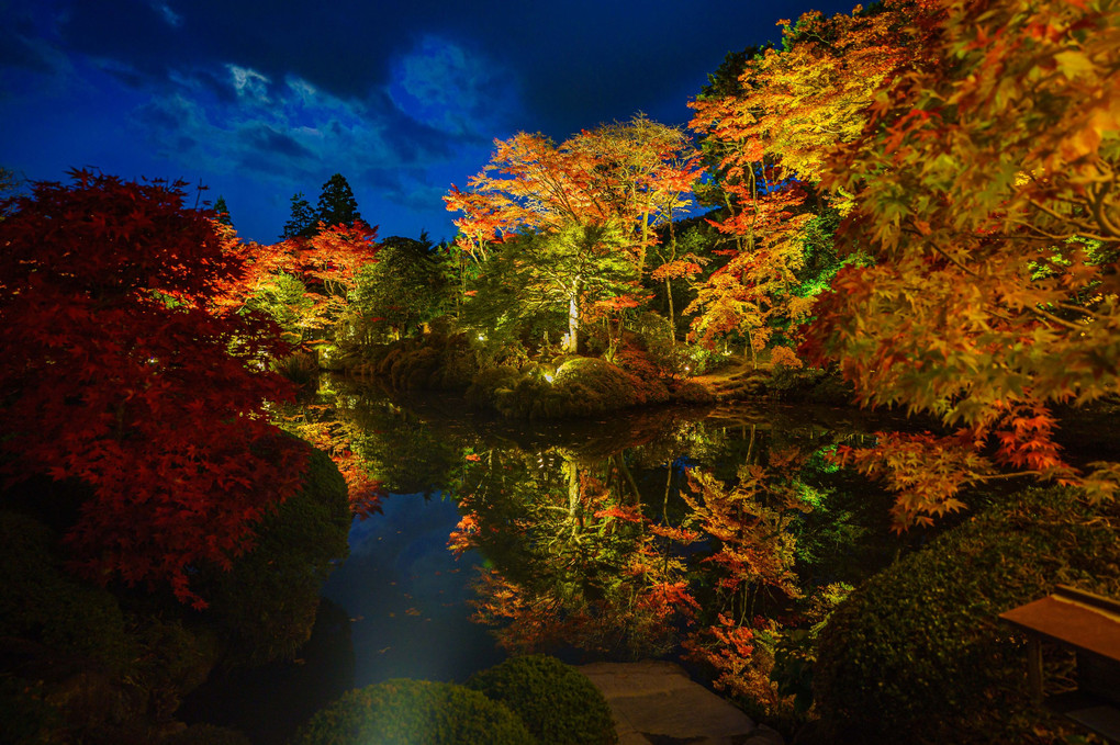 日光山輪王寺　逍遥園ライトアップ