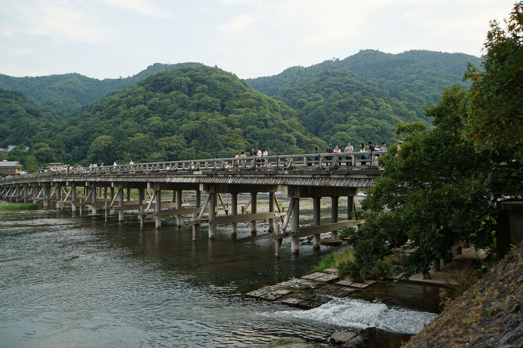 京都府嵐山　渡月橋