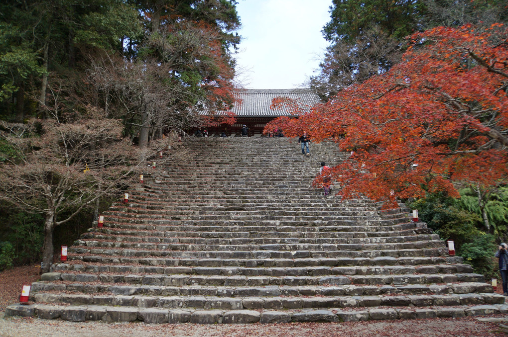 京都散策（神護寺）