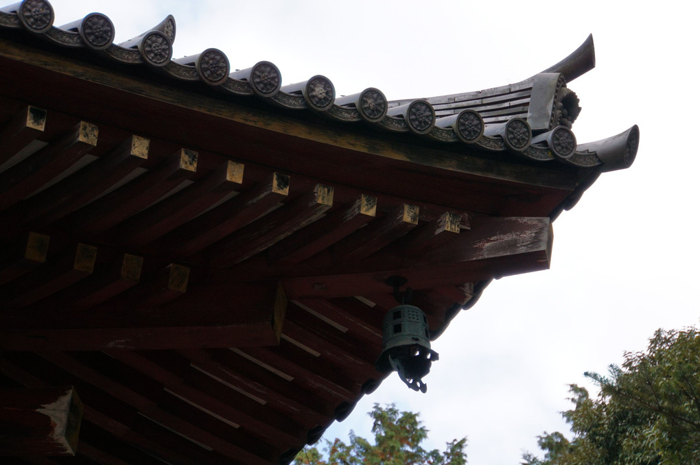 京都散策（神護寺）