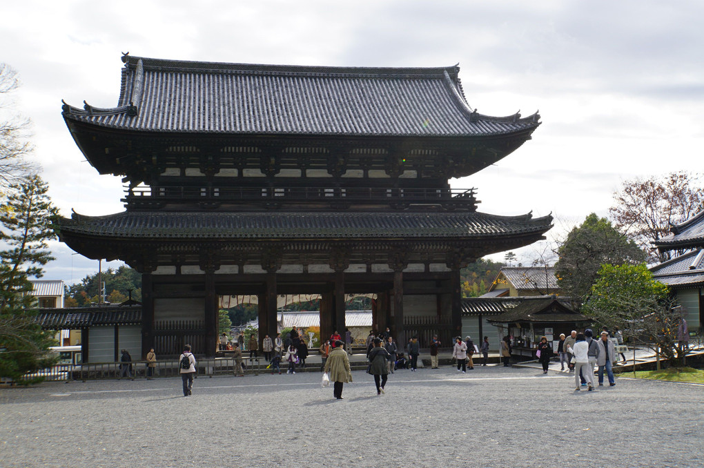 京都散策（仁和寺）