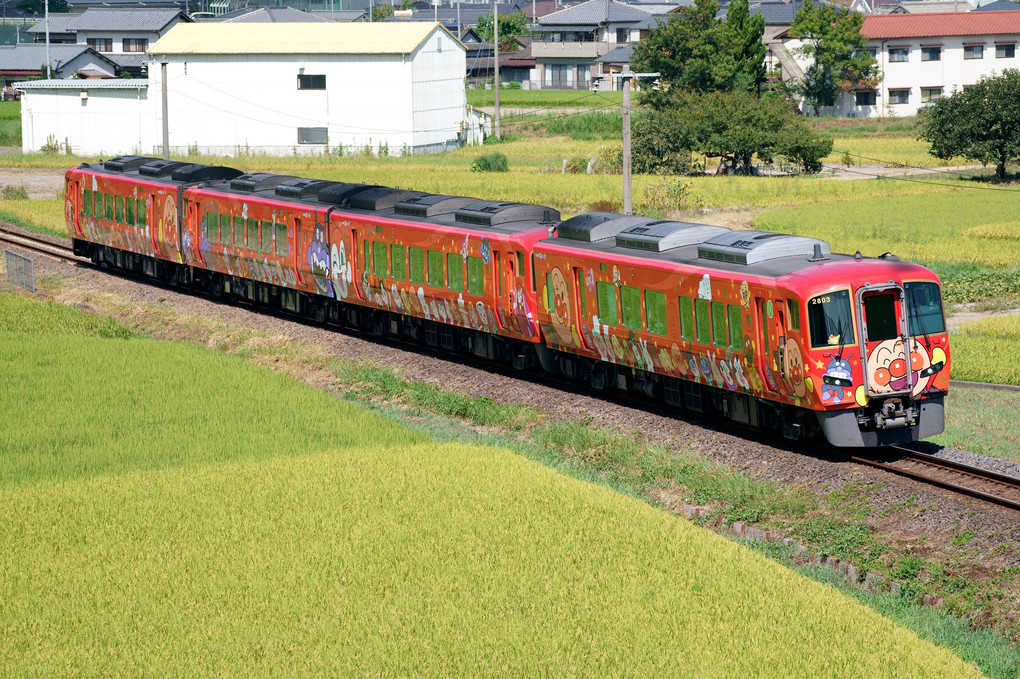 土讃線　新旧アンパンマン列車