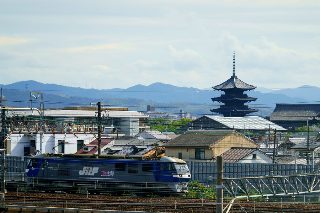 桃と東寺さん