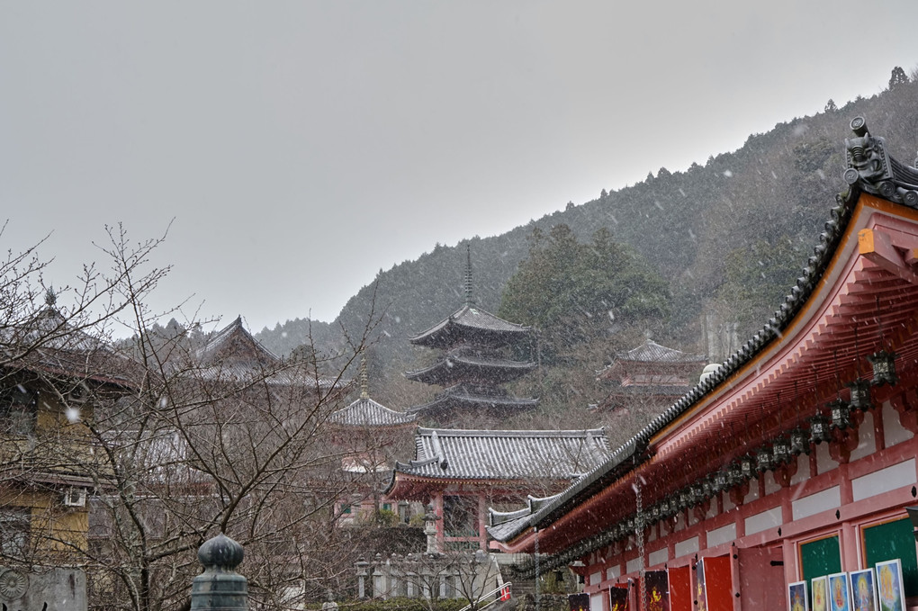 雪降る壷坂寺