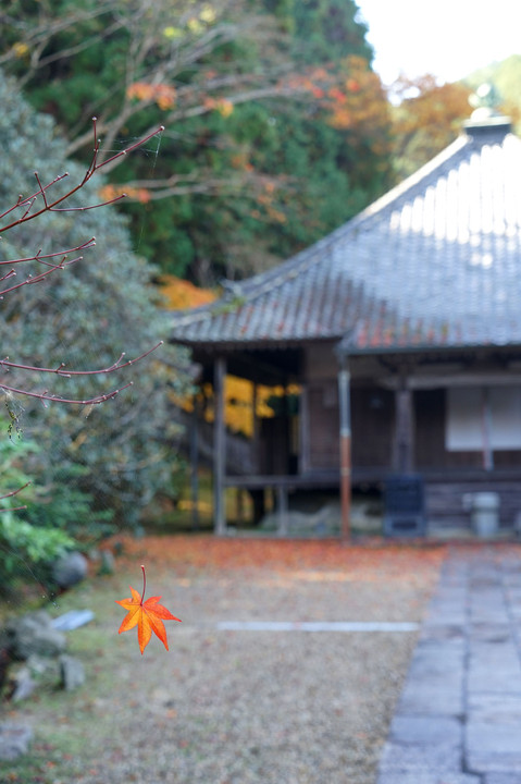 地蔵寺の秋