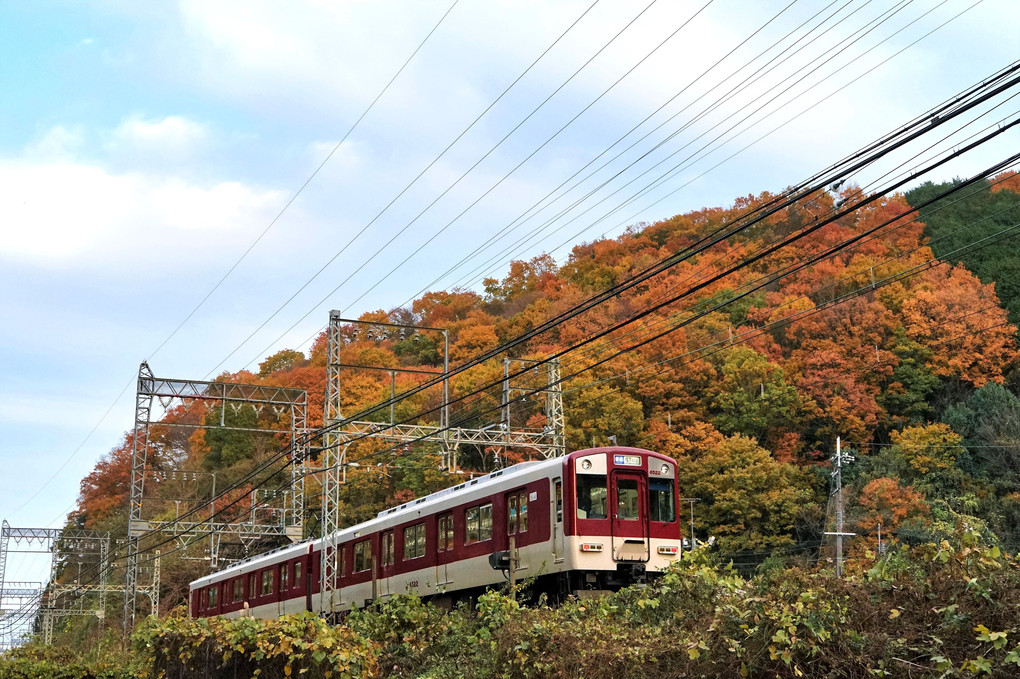 彩りの県境