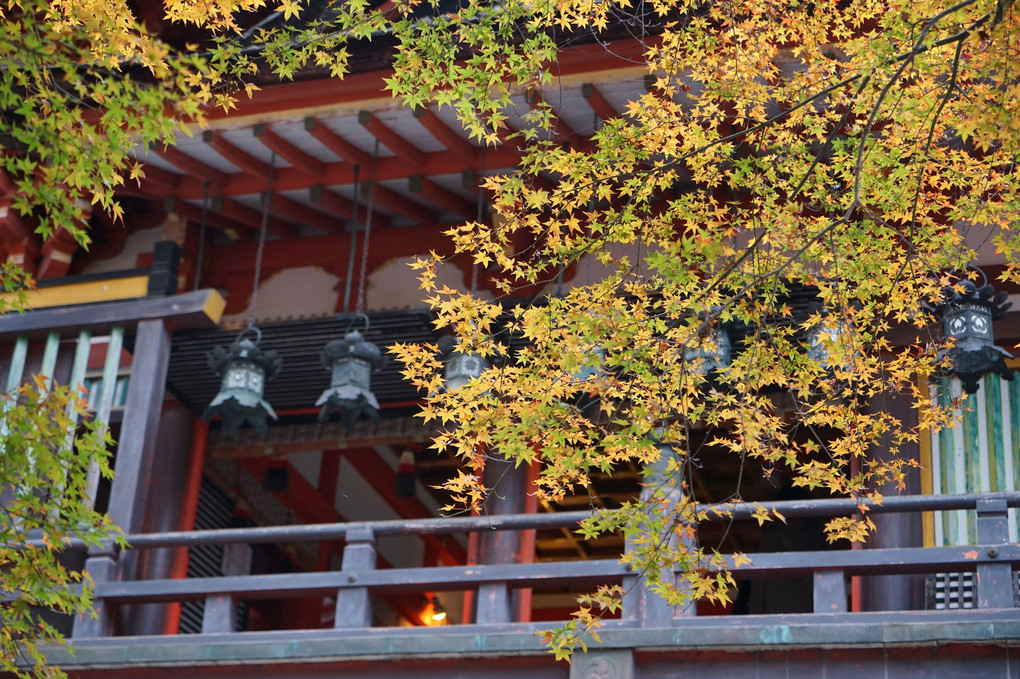 錦秋の神社