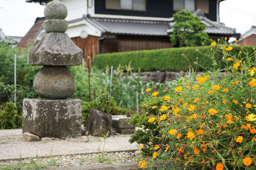 飛鳥寺