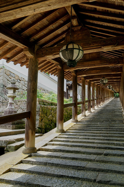 長谷寺(奈良)の初夏