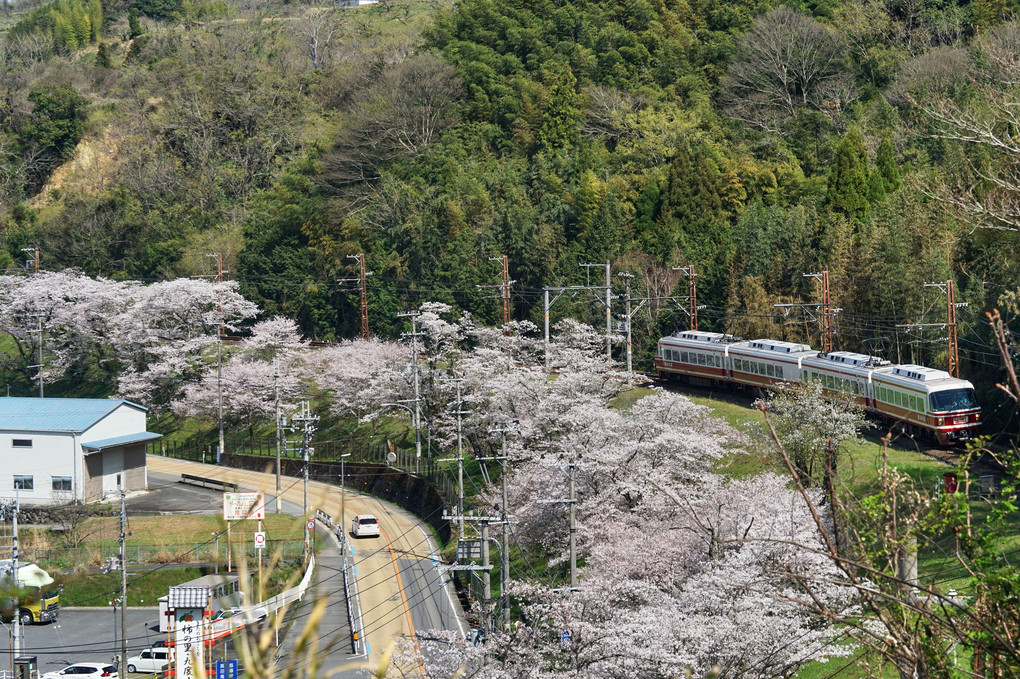 春走　高野山へGO