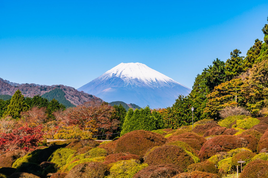 芦ノ湖、富士山と紅葉