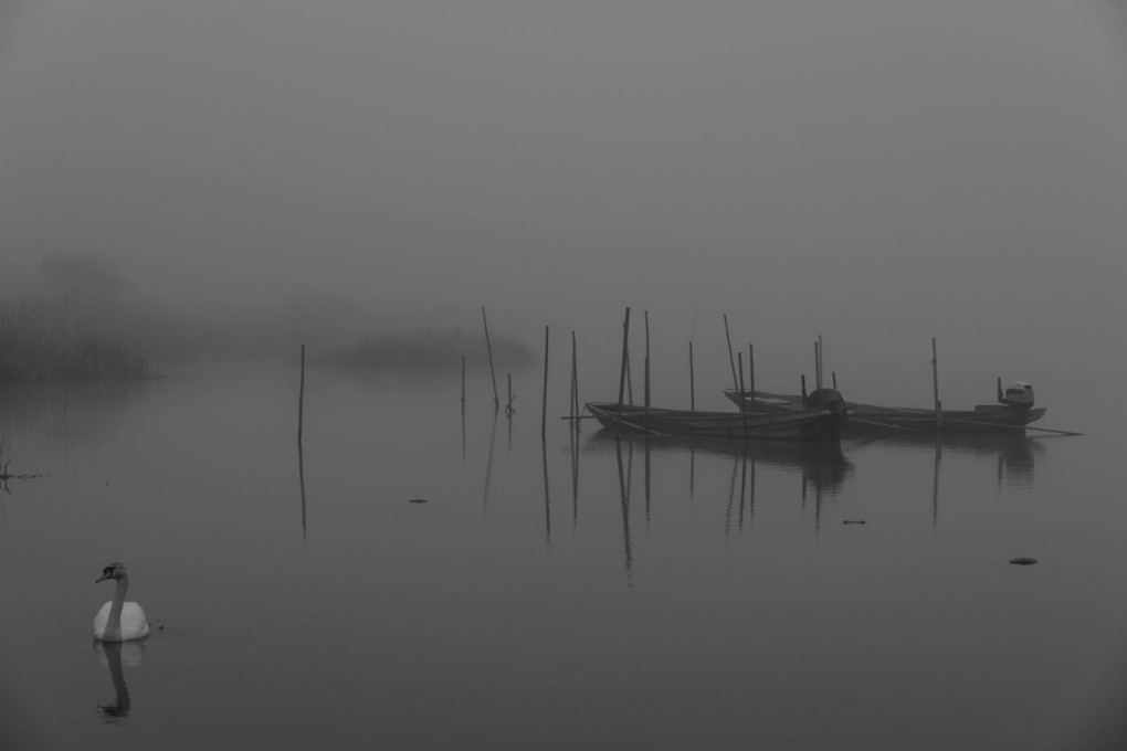 印旛沼　霧の朝（モノクロ1枚含む）