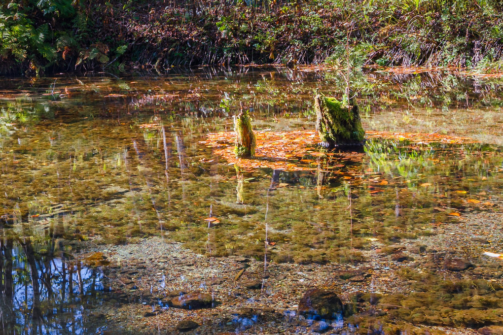 北海道　神の子池