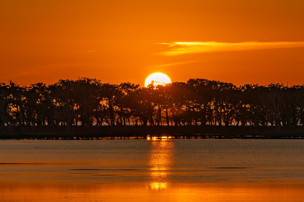野付半島、ナラワラに沈む太陽