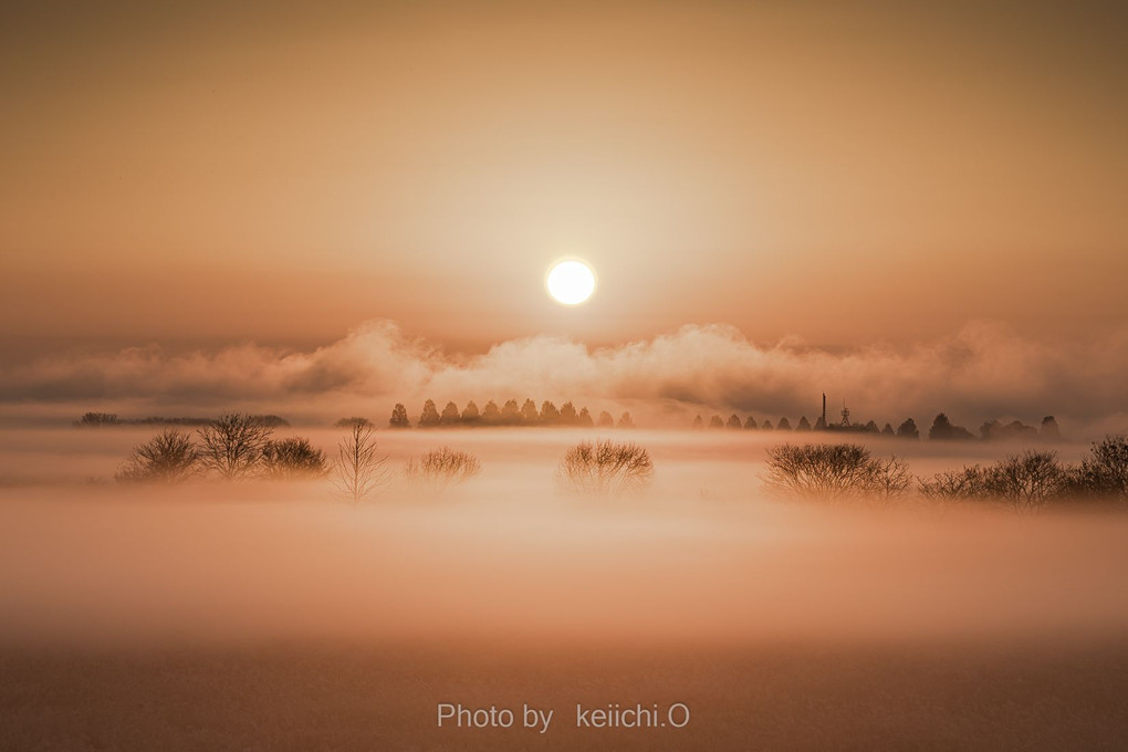 渡良瀬遊水地　霧の朝