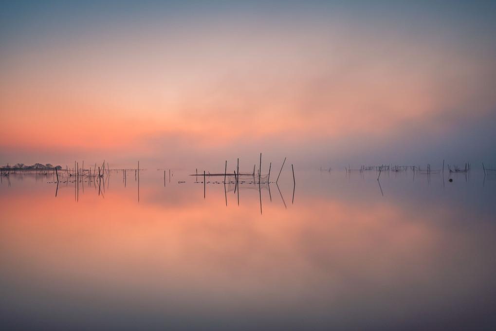 霧の印旛沼