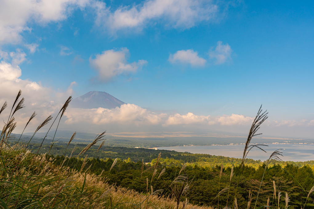 富士三湖巡り