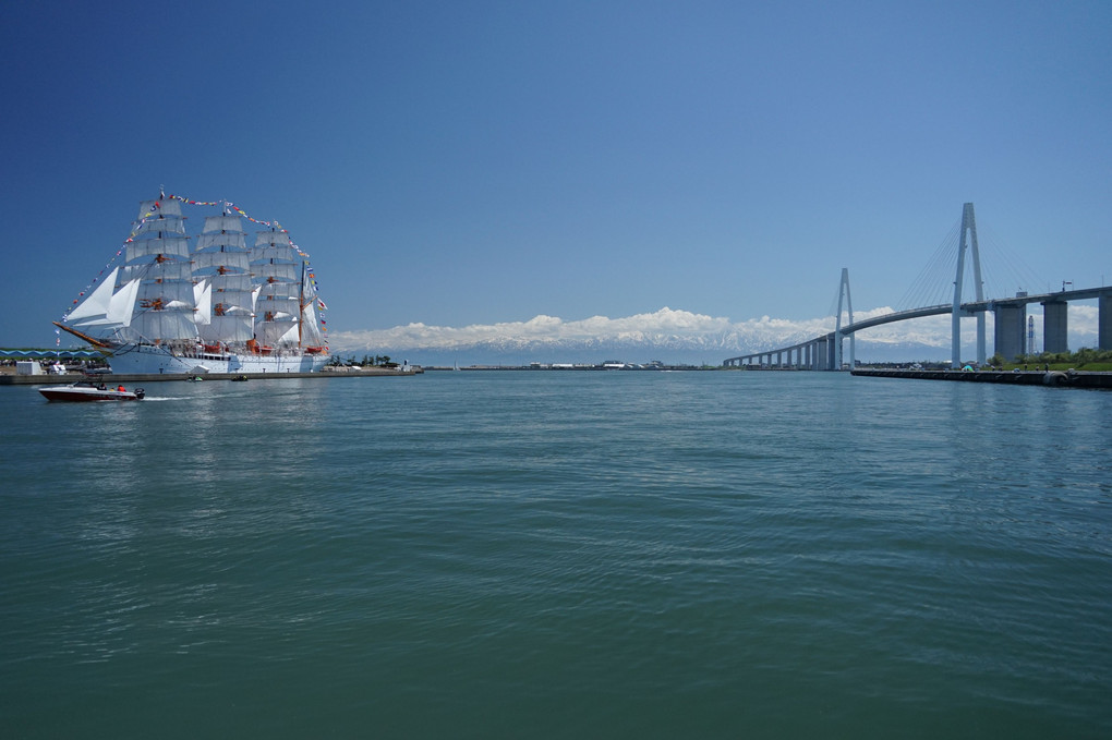 海王丸と新湊大橋