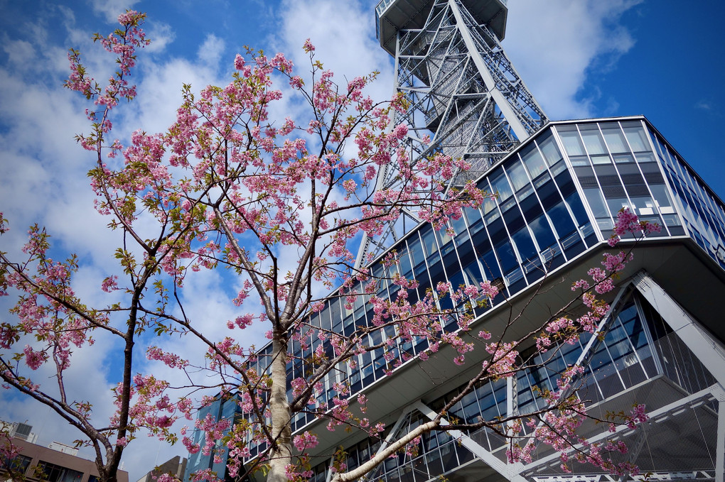 テレビ塔の春