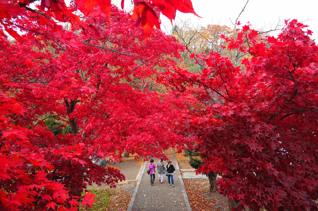 秋の 浦臼神社