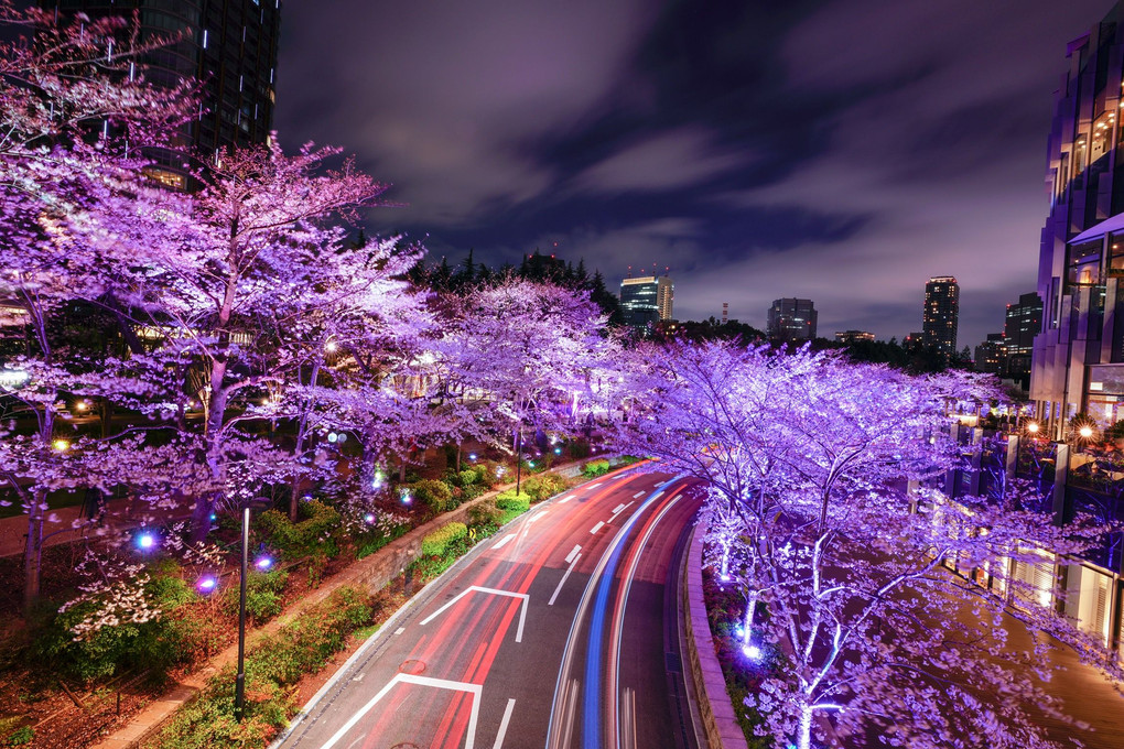 Tokyo Midtown