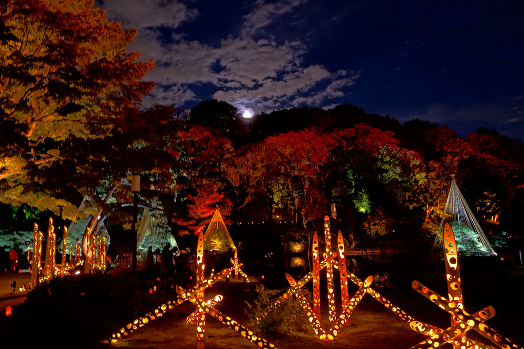 11月23日　肥後細川庭園