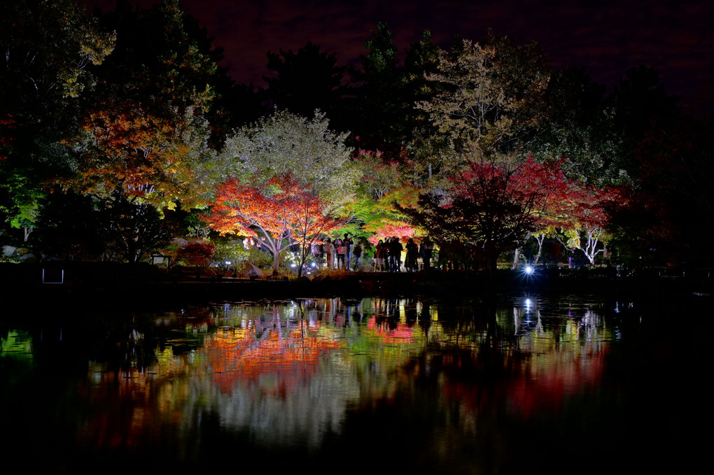 11月7日　昭和記念公園　日本庭園