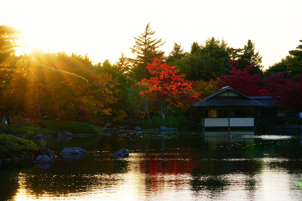 11月7日　昭和記念公園　日本庭園