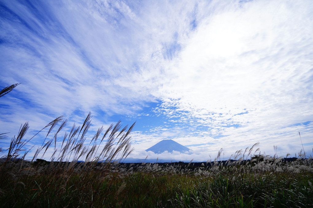富士山がたくさん見れた日