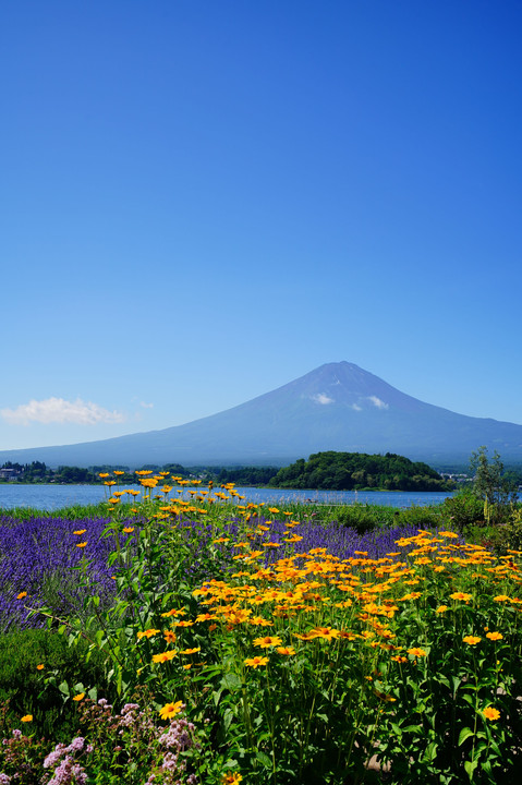 7月10日の富士山