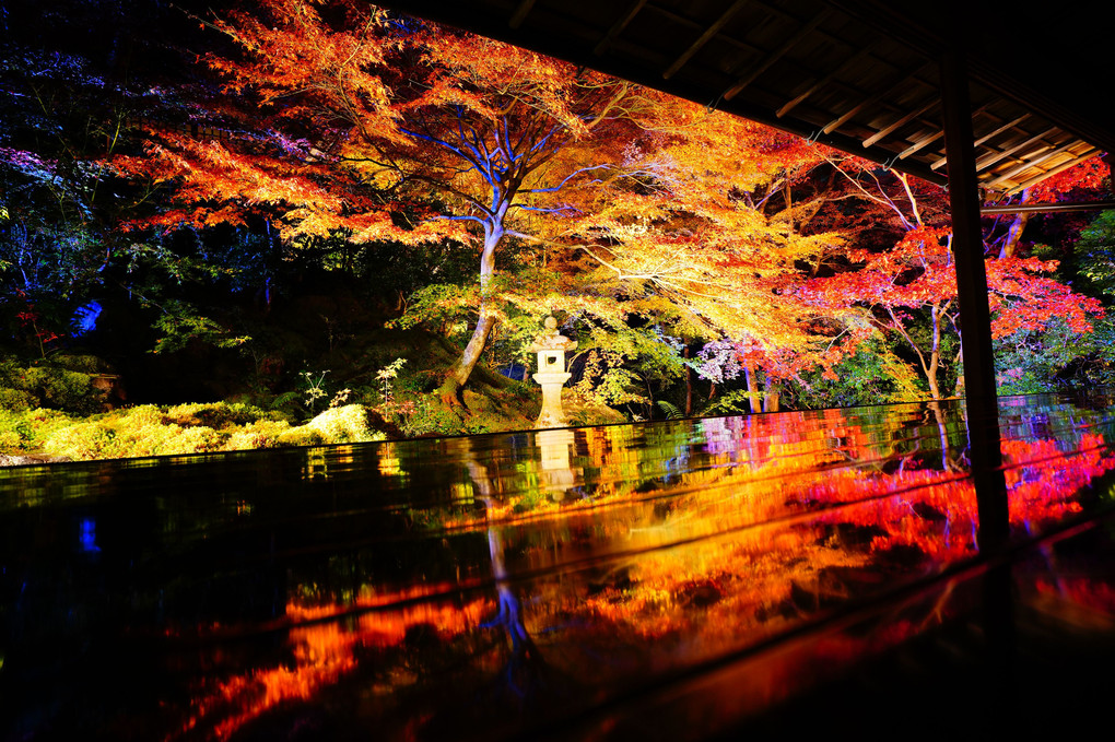 11月25日　瑠璃光院