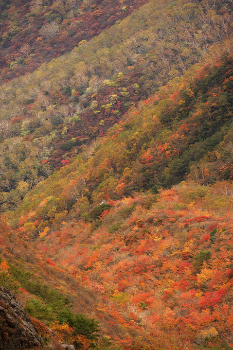 那須の紅葉