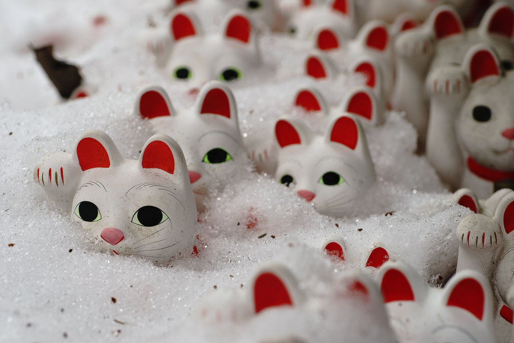 雪をかぶった招き猫