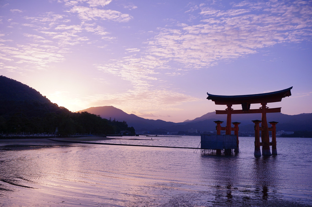 MIYAJIMA　Afternoon