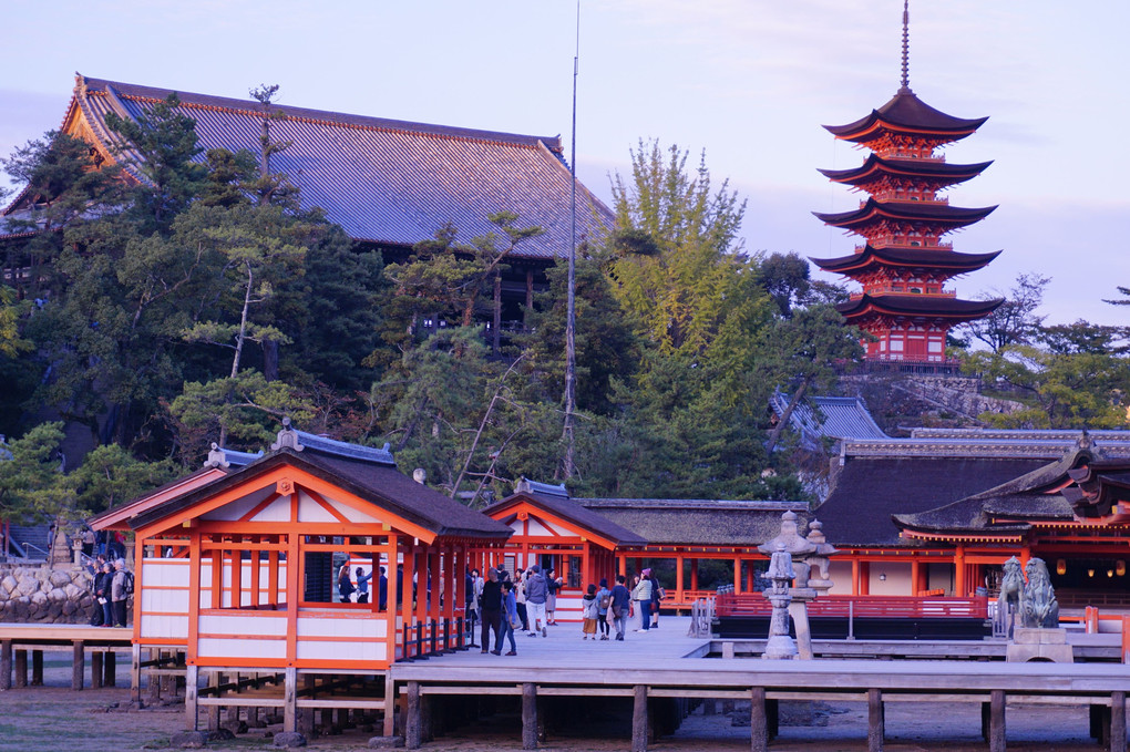 MIYAJIMA　Afternoon