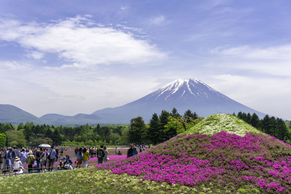 日本一の富士山🗻